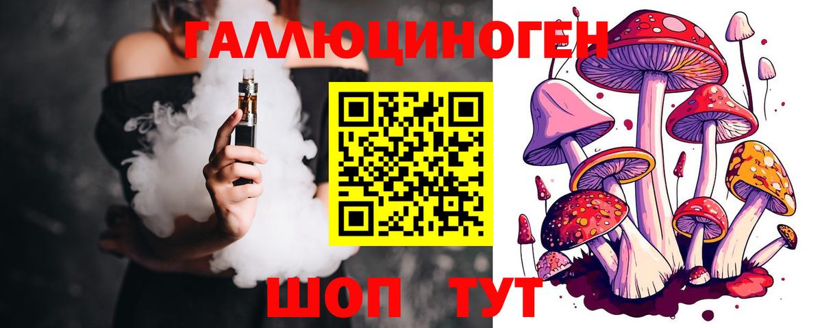 Псилоцибиновые грибы Psilocybe Тейково
