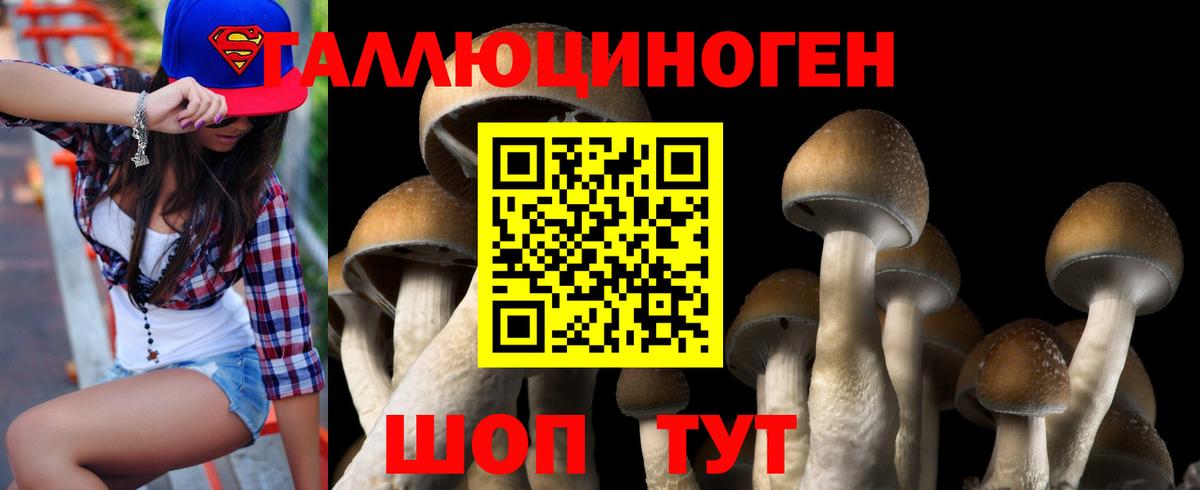 Тейково  Псилоцибиновые грибы мухоморы  Псилоцибиновые грибы ЛСД  Вход с VPN 